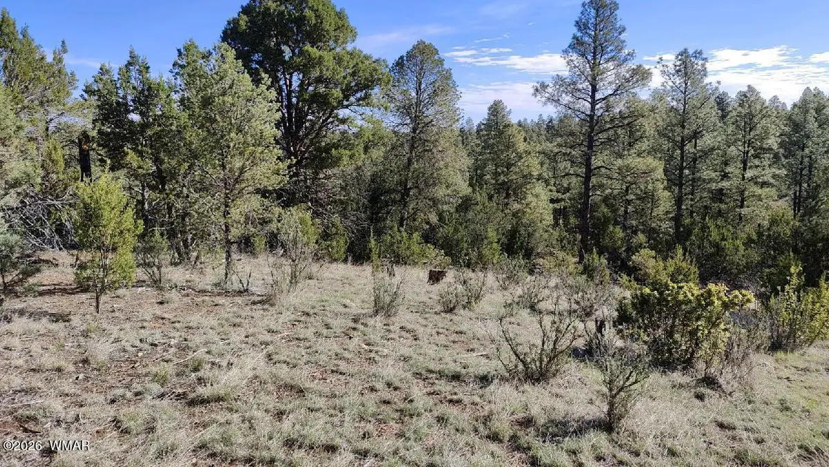 2316 Thunderbird Circle, Overgaard, AZ 85933 - #1