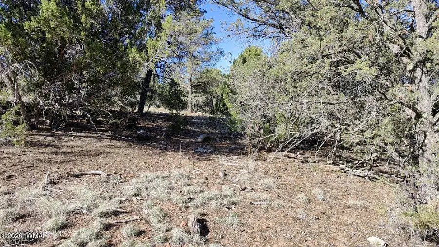 2316 Thunderbird Circle, Overgaard, AZ 85933 - #2