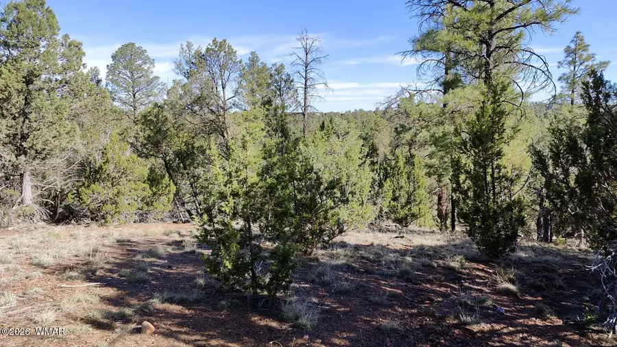 2316 Thunderbird Circle, Overgaard, AZ 85933 - #3
