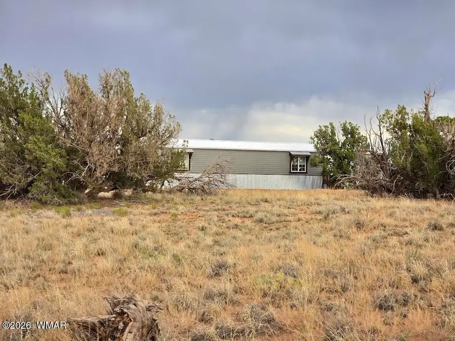3845 Petersen Road, Snowflake, AZ 85937 - #2