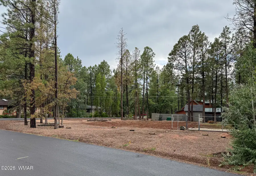 6236 Grey Fox Lane, Pinetop, AZ 85935 - #3