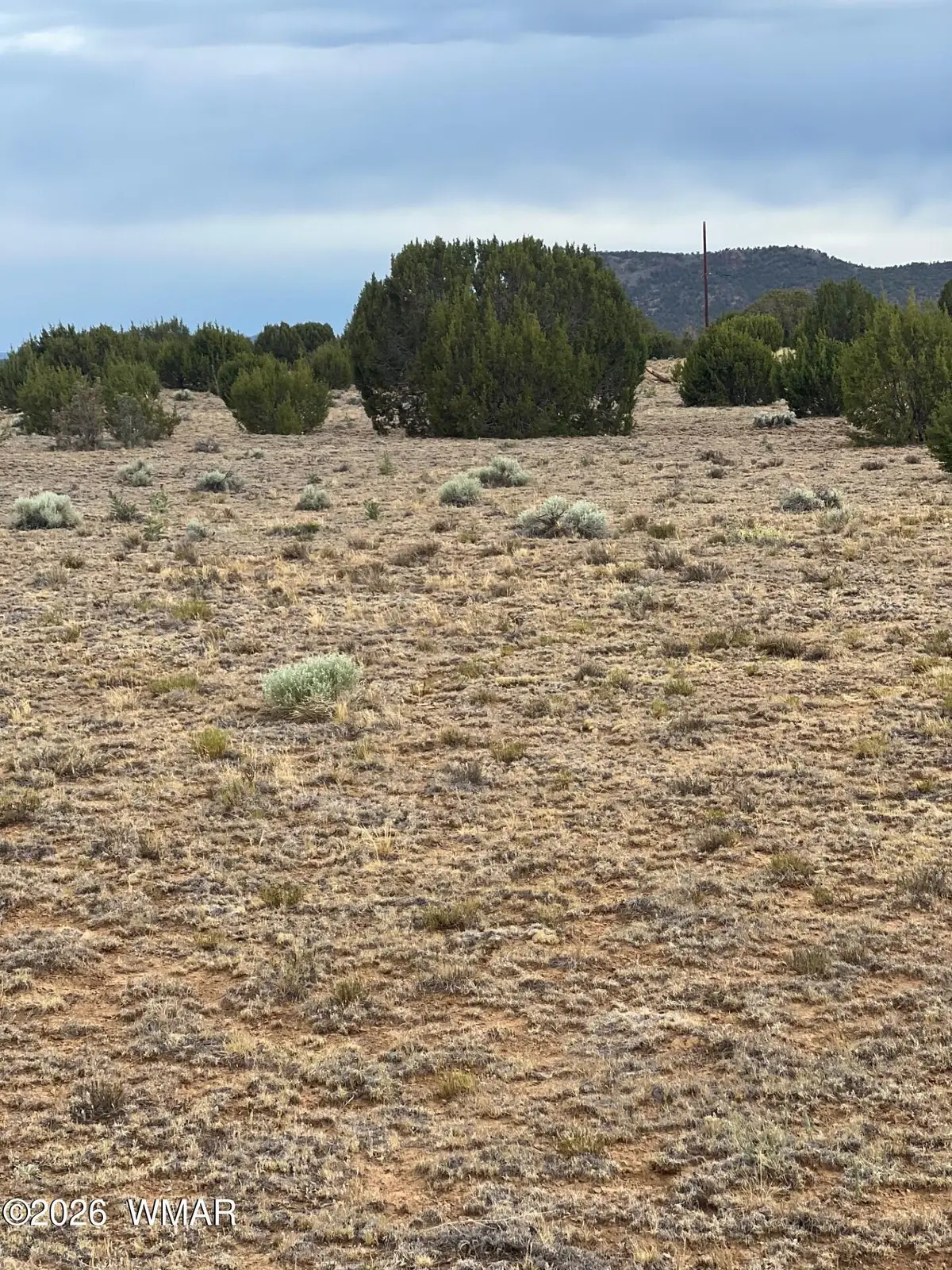TBD 8206, Concho, AZ 85924 - #1