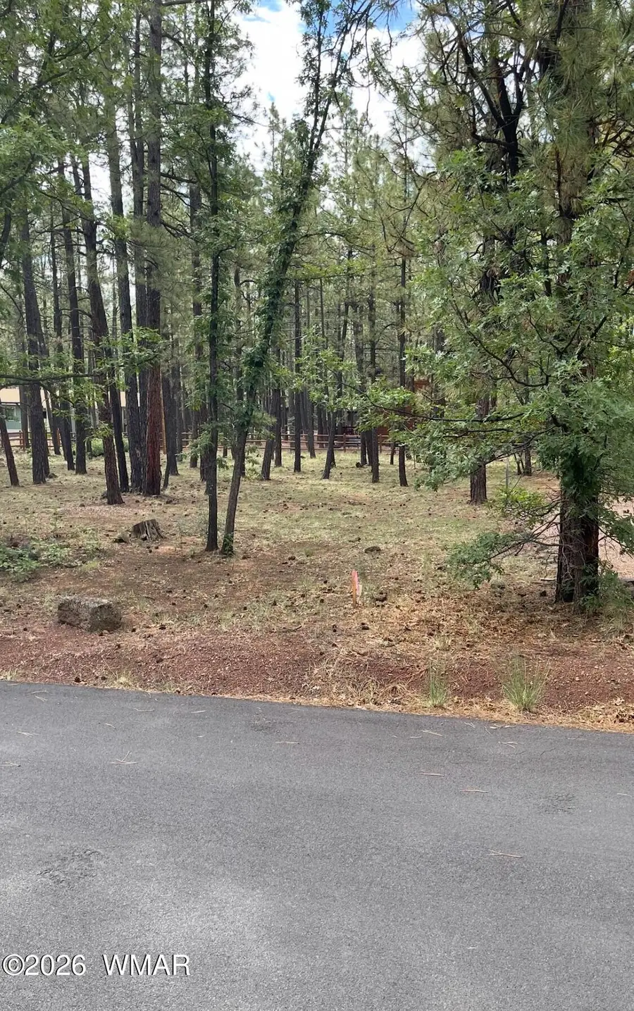6567 Palomino Drive Lot 165, Pinetop, AZ 85935 - #2