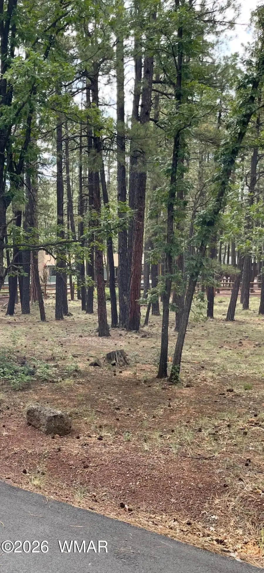 6567 Palomino Drive Lot 165, Pinetop, AZ 85935 - #3