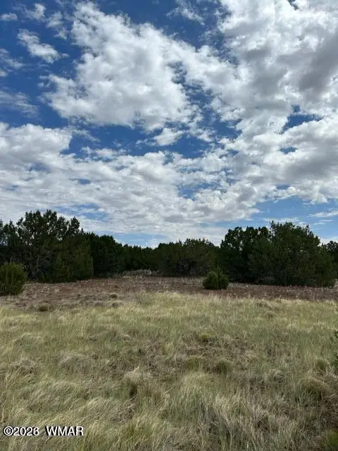 TBD Cr N3102, Vernon, AZ 85940 - #2