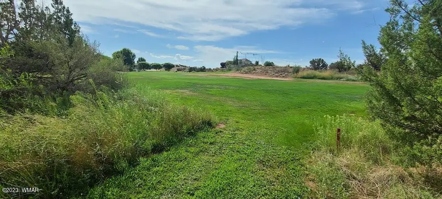 1881 W Sandtrap Lane, Snowflake, AZ 85937 - #3