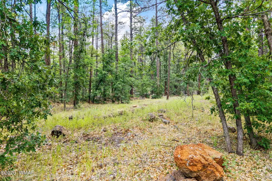 2094 Brown Bear Loop, Pinetop, AZ 85935 - #2
