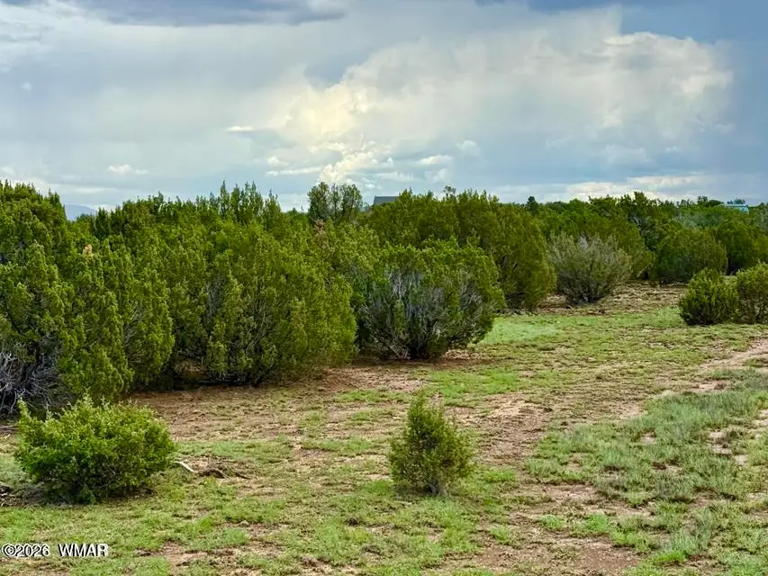 85 Cr 8128 Lots 100, 101 & 108, Concho, AZ 85924 - #3