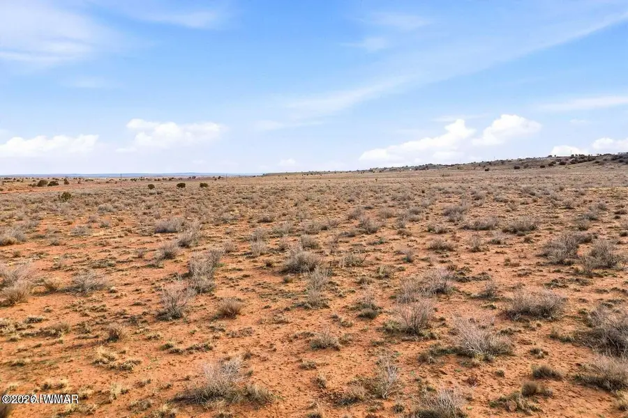 9xxx Miller Trail, Snowflake, AZ 85937 - #2
