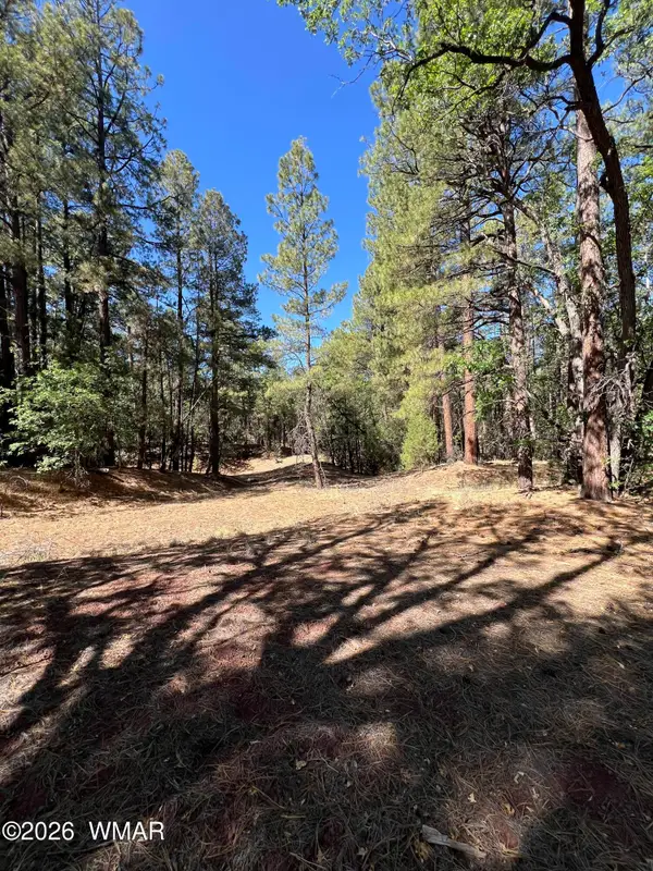 1279 Twin Oaks, Lakeside, AZ 85929