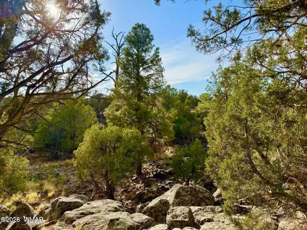 1838 Rocky Bottom Place, Show Low, AZ 85901