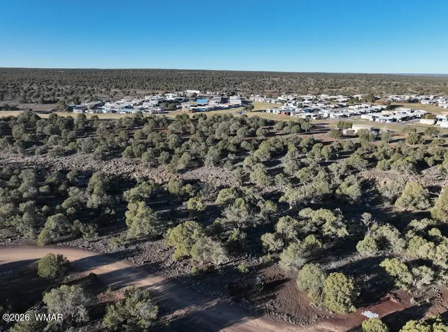 1838 Rocky Bottom Place, Show Low, AZ 85901 - #2