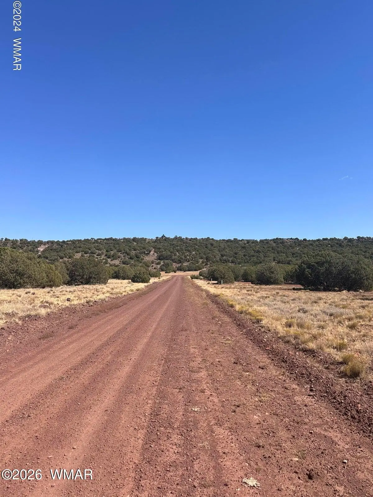 343 & 344 Cr 8295, Concho, AZ 85924 - #1