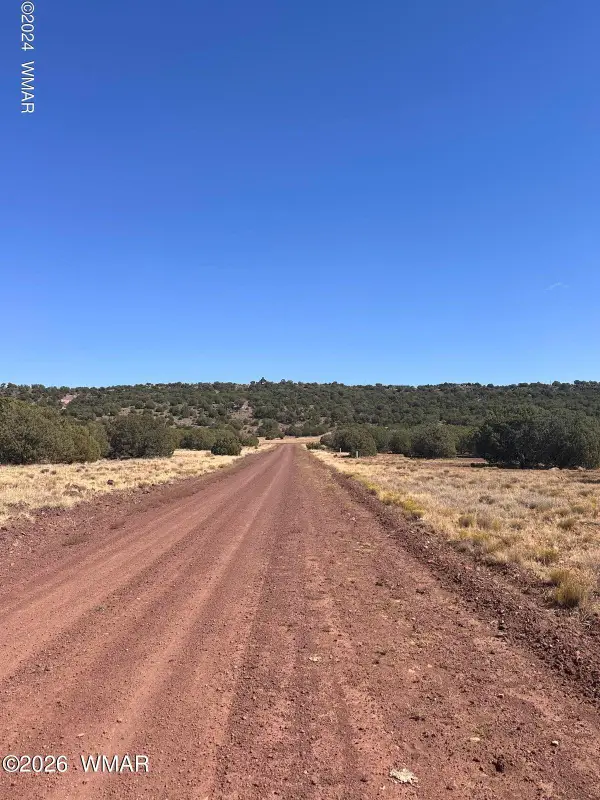 343 & 344 Cr 8295, Concho, AZ 85924