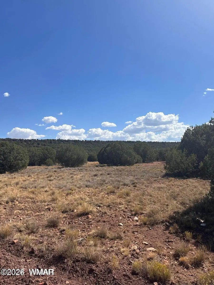 343 & 344 Cr 8295, Concho, AZ 85924 - #3