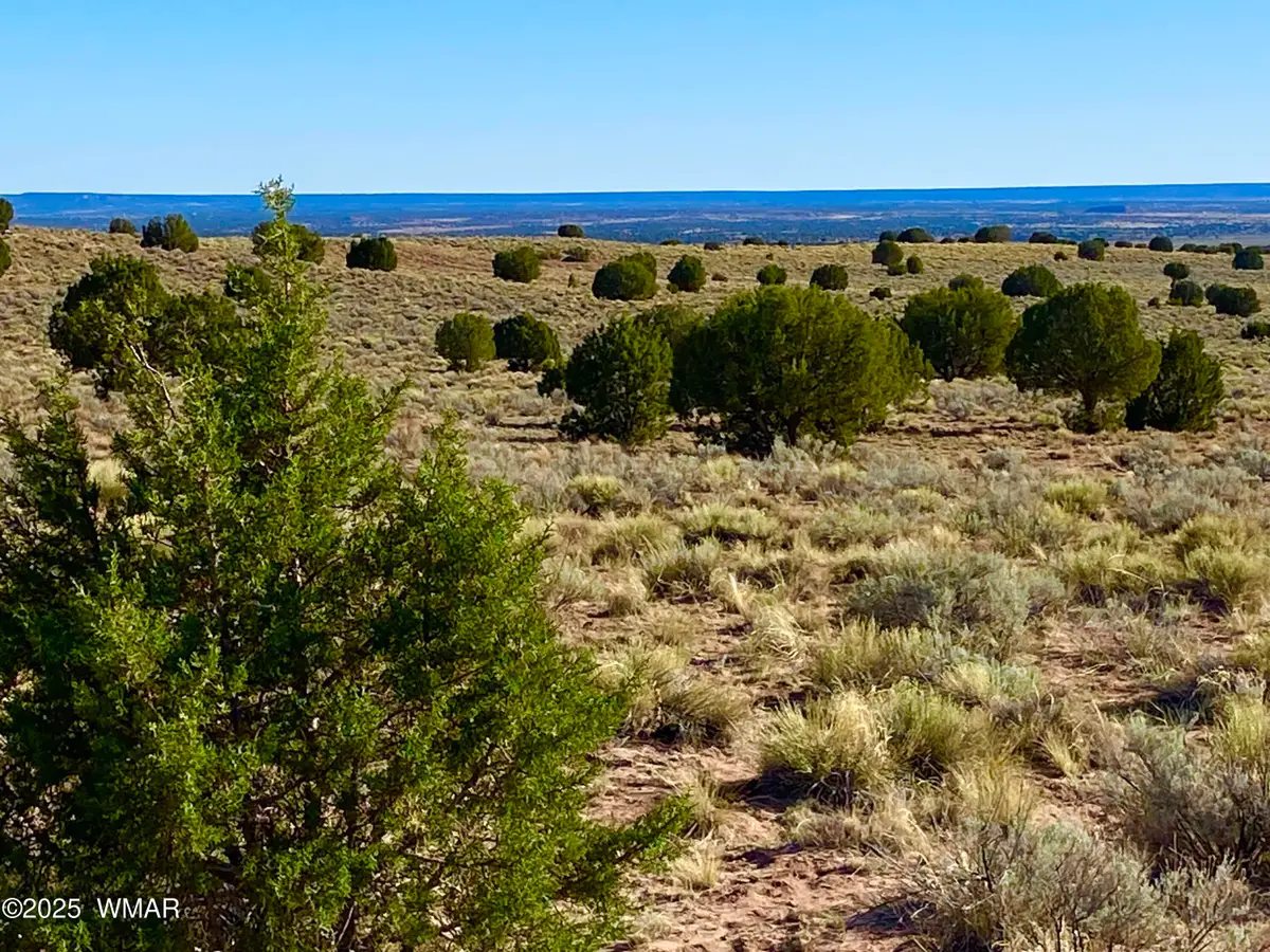 River Meadows Ranch Unit 3 Lot 204, Concho, AZ 85924 - #1