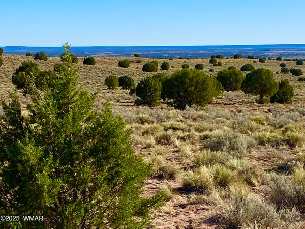 River Meadows Ranch Unit 3 Lot 204, Concho, AZ 85924