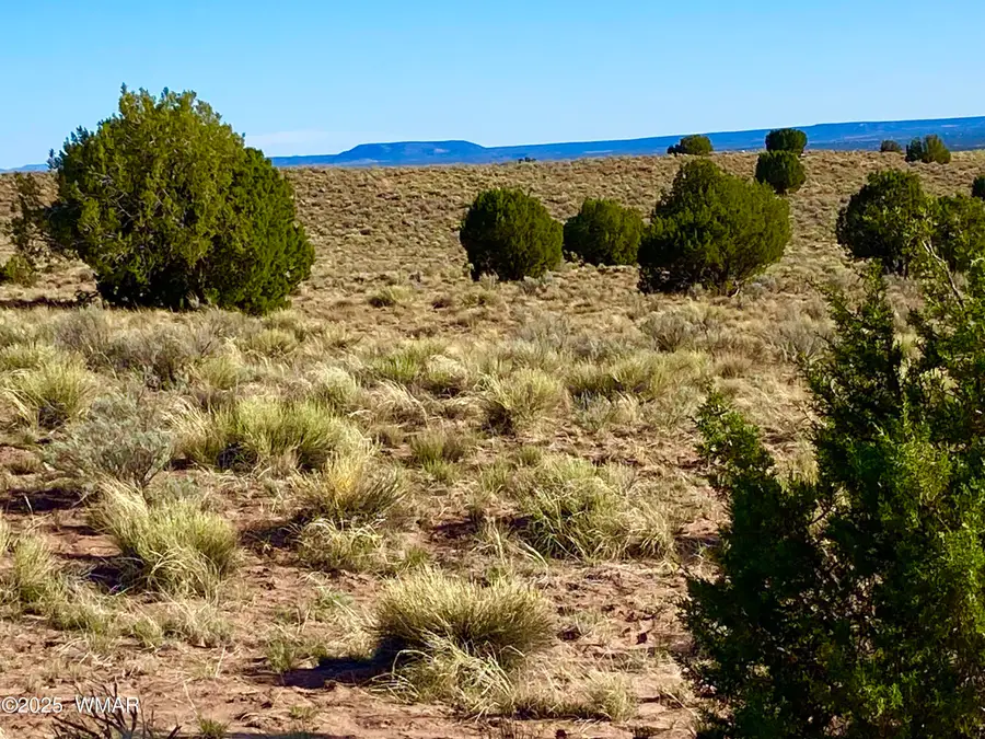 River Meadows Ranch Unit 3 Lot 204, Concho, AZ 85924 - #3