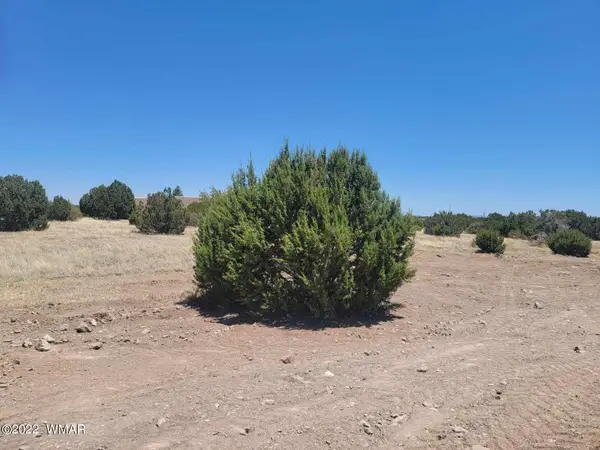 8430 Lake View Drive, Show Low, AZ 85901