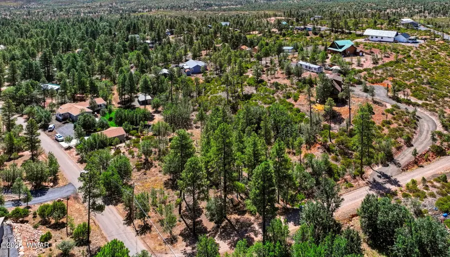 853 Wilderness Trail, Show Low, AZ 85901 - #3