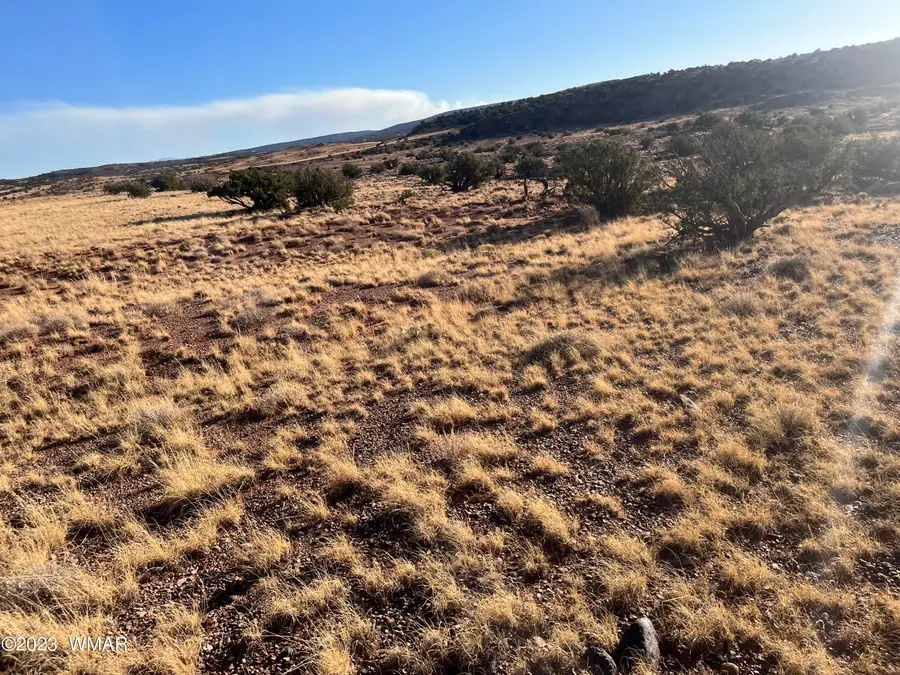 24 N8448, Concho, AZ 85924 - #3