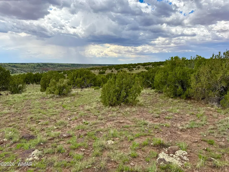 127 Co Rd 8051 Road, Concho, AZ 85924 - #3