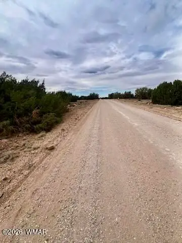 125 Co Rd 8051, Concho, AZ 85924