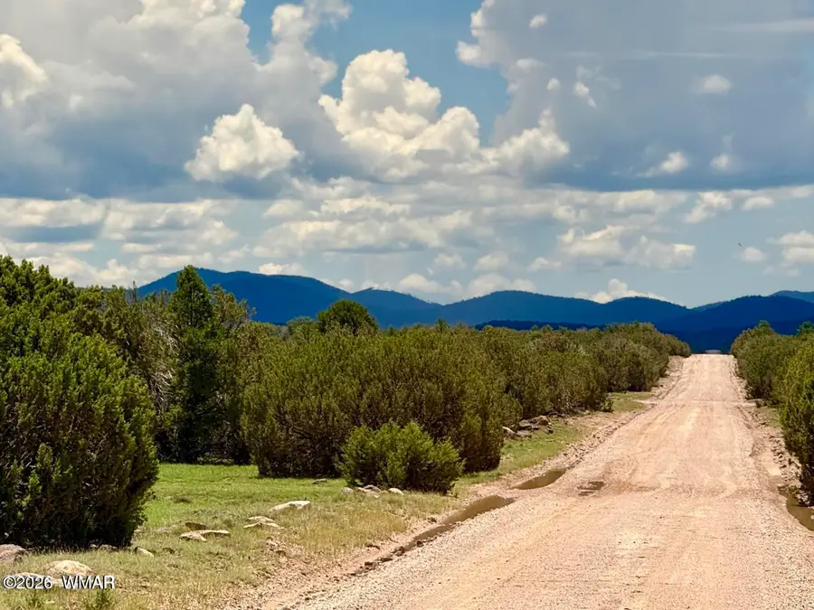 121, 125, 127 & 129 Co Rd 8051, Concho, AZ 85924 - #2