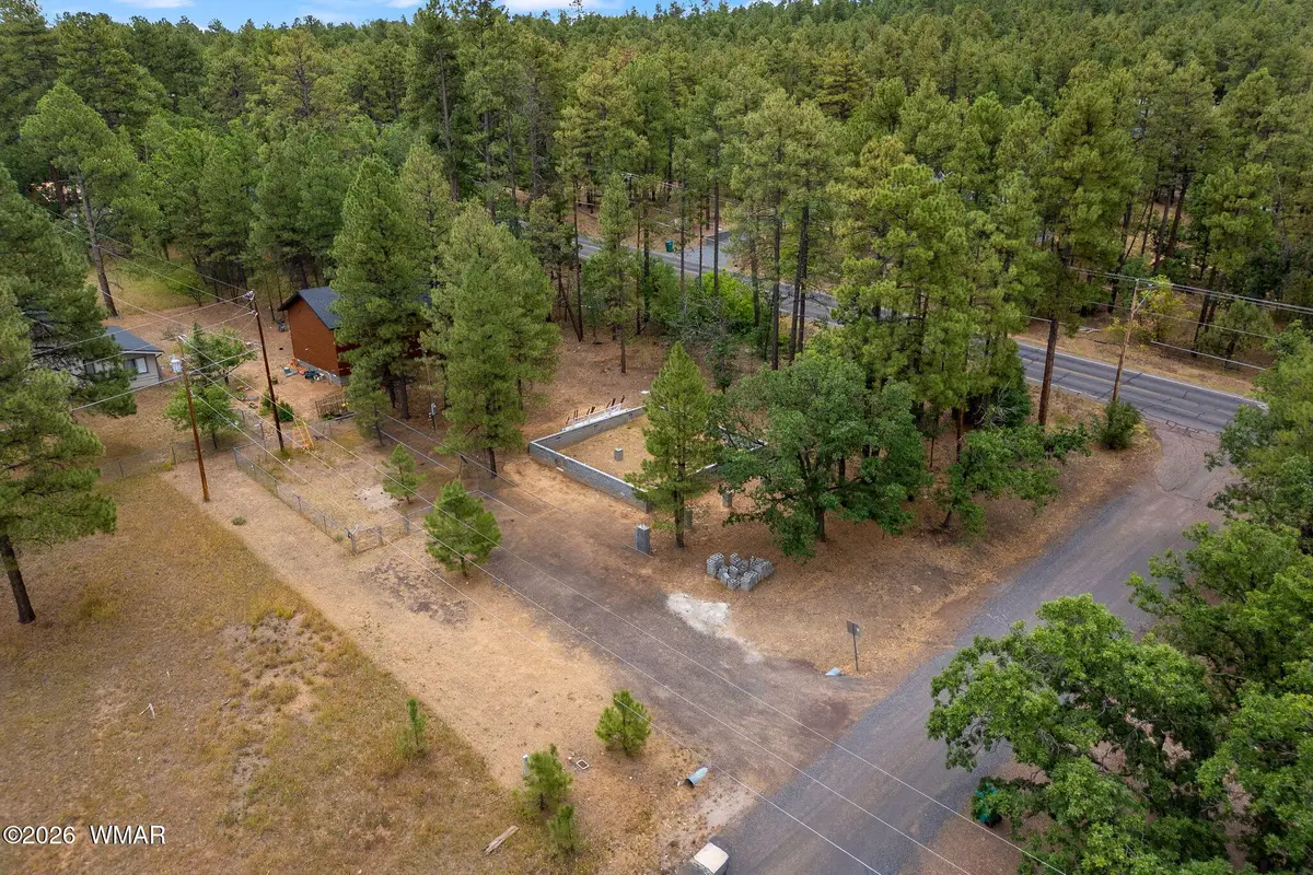 1579 Arlene Lane, Lakeside, AZ 85929 - #1