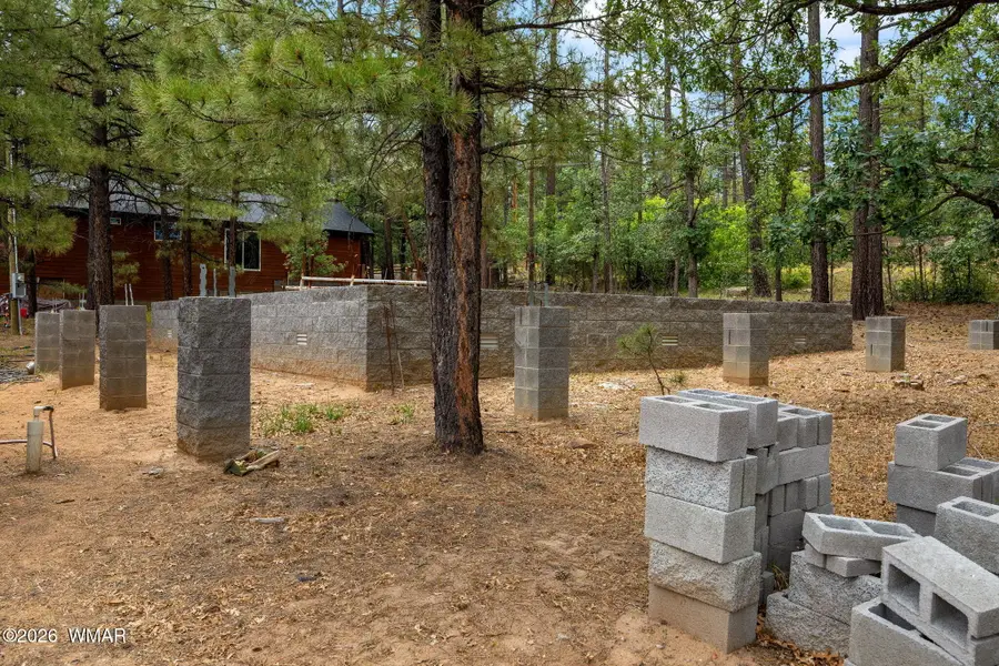 1579 Arlene Lane, Lakeside, AZ 85929 - #2