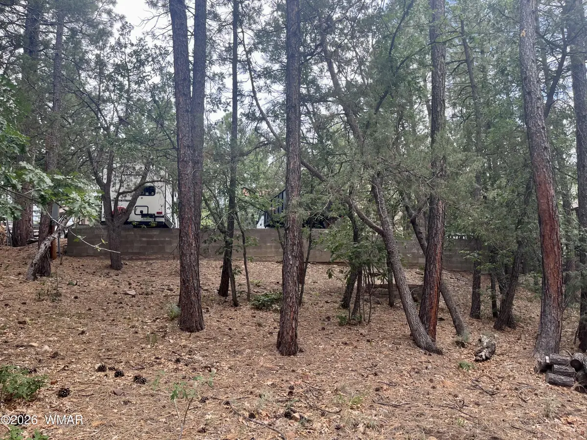 518 S Walnut Creek Loop, Pinetop, AZ 85935 - #1