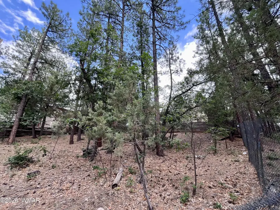 518 S Walnut Creek Loop, Pinetop, AZ 85935 - #2