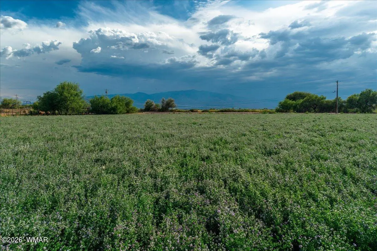 TBD S Hancock Hollow Road, Safford, AZ 85546 - #1