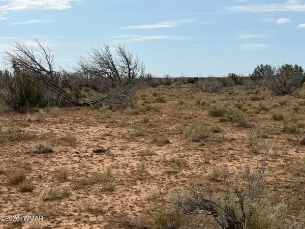 1037 Mira Road, Heber, AZ 85928