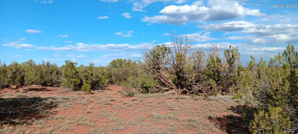9730 Texas Lane, Show Low, AZ 85901 - #1
