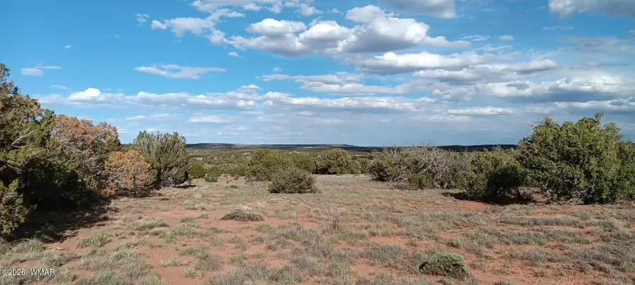 9730 Texas Lane, Show Low, AZ 85901 - #2