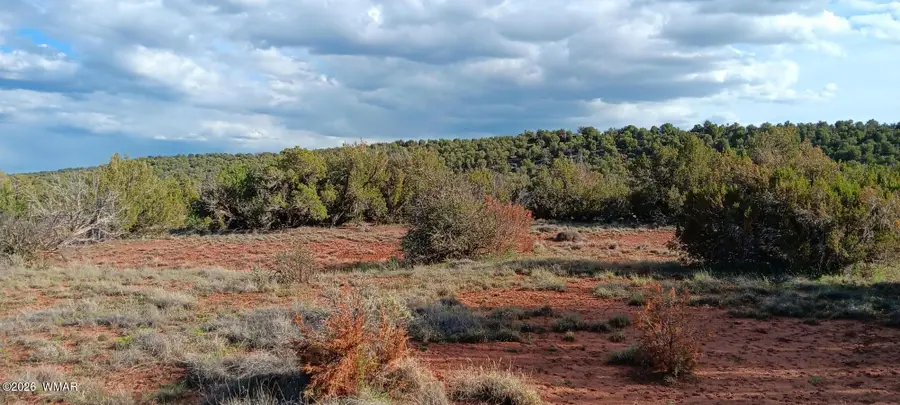 9730 Texas Lane, Show Low, AZ 85901 - #3