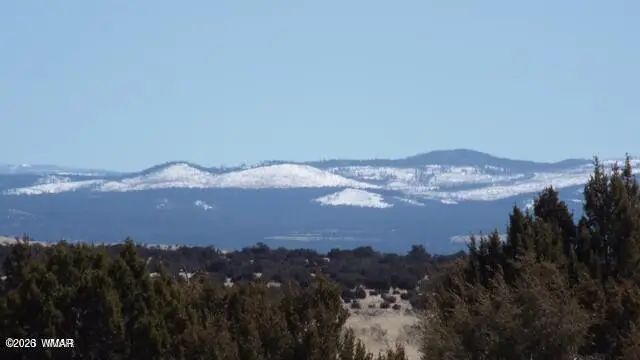 TBD Parcel 107-52-046, Concho, AZ 85924 - #1