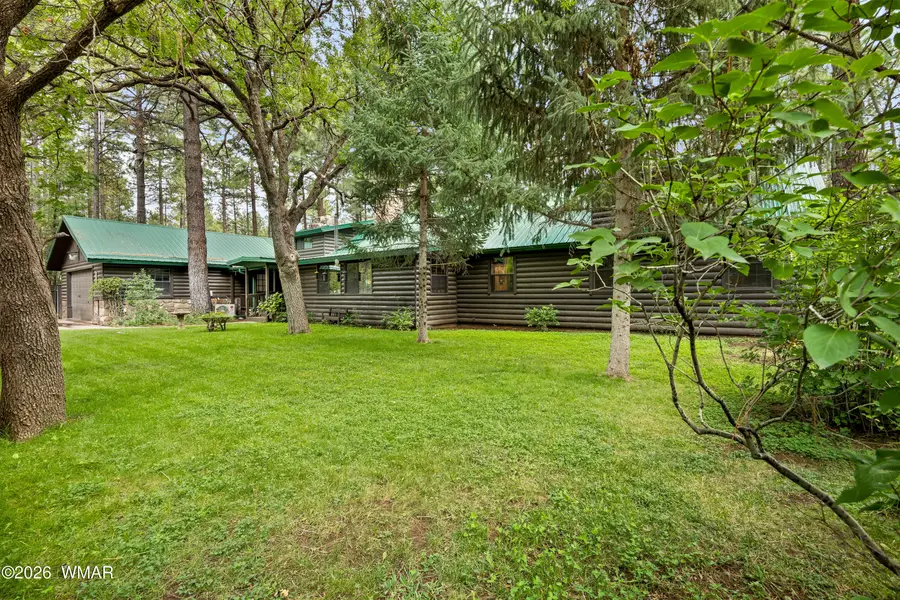 417 W Springtime Drive, Lakeside, AZ 85929 - #2