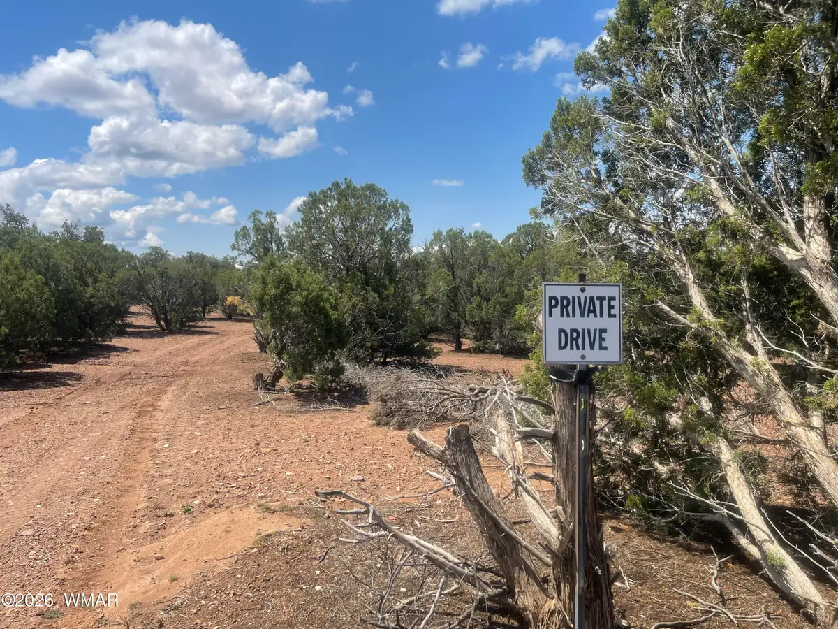 4934 Elk Trail Road, Clay Springs, AZ 85923 - #1