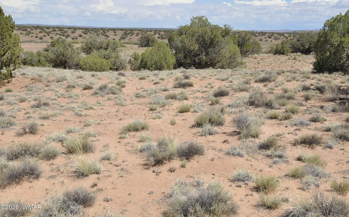 19C & D County Rd N9033, Concho, AZ 85924 - #1