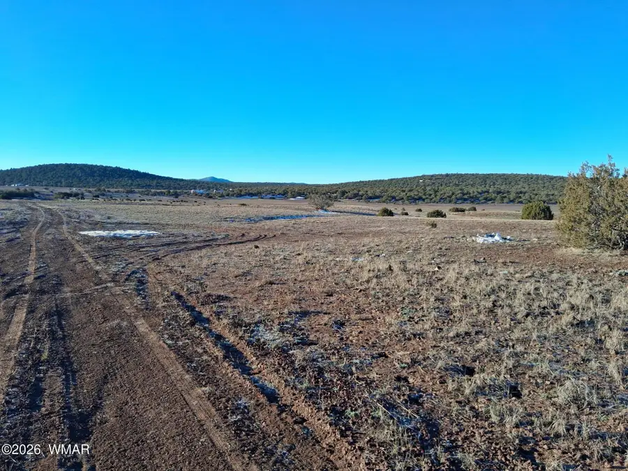 92 County Road 8223 Road, Concho, AZ 85924 - #2