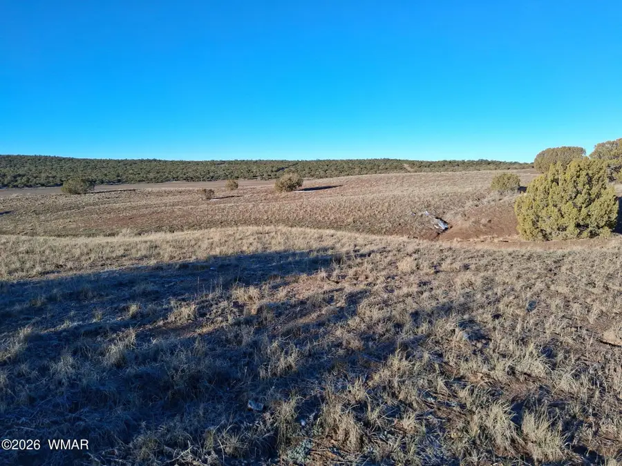 92 County Road 8223 Road, Concho, AZ 85924 - #3
