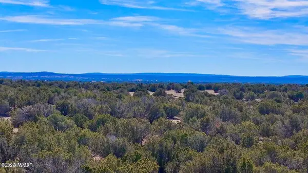9023 Appaloosa Lots C & E Trail, Show Low, AZ 85901