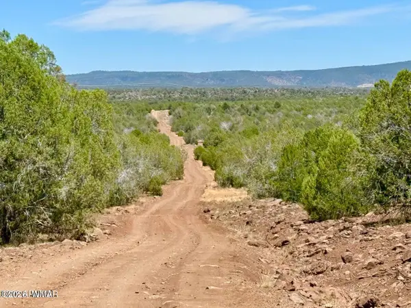 0 Stagecoach Dr 47 Acres, Ash Fork, AZ 86320