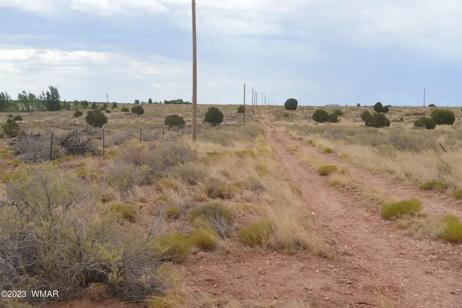 8895 Hansa Trail, Snowflake, AZ 85937 - #2