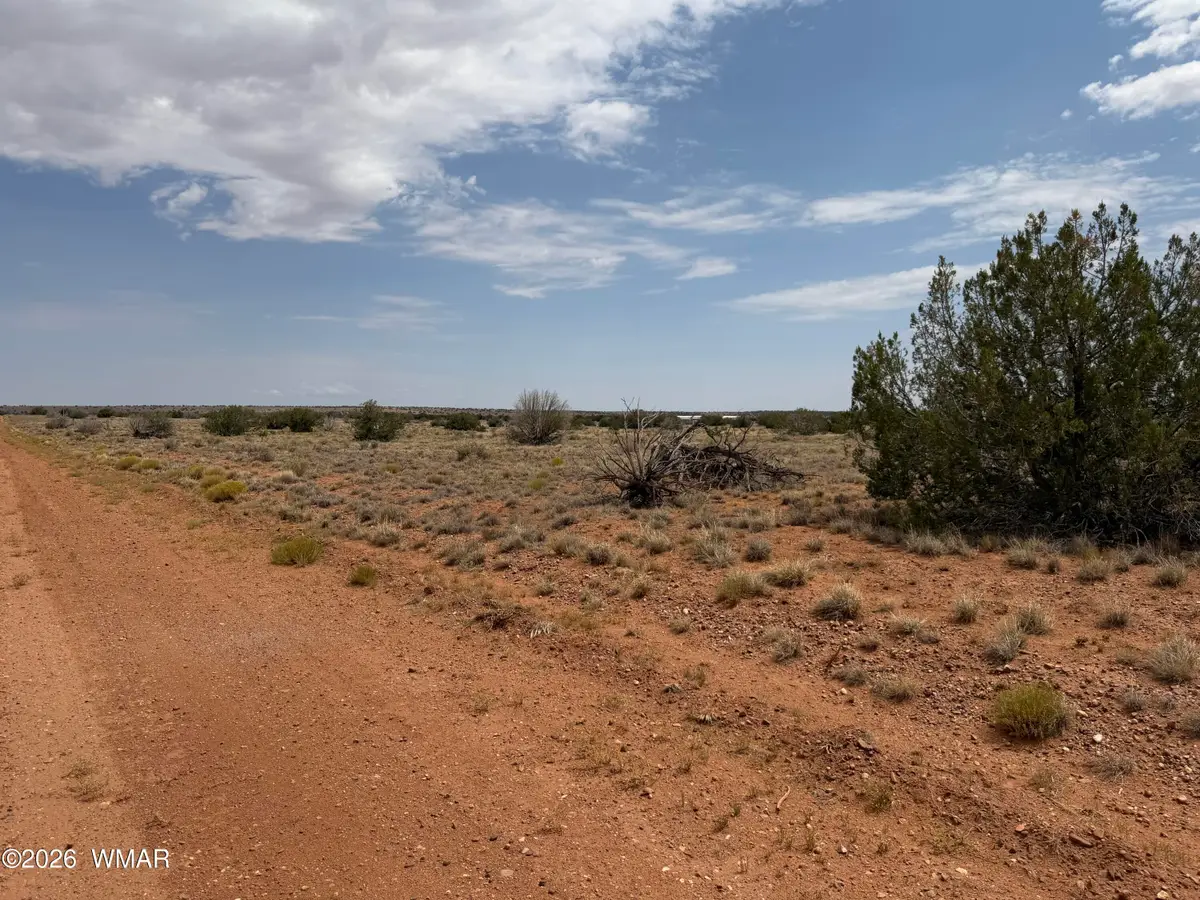 Lot 562 Chevelon Canyon Ranch Drive, Heber, AZ 85928 - #1