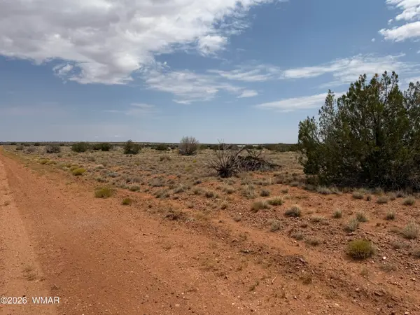 Lot 562 Chevelon Canyon Ranch Drive, Heber, AZ 85928