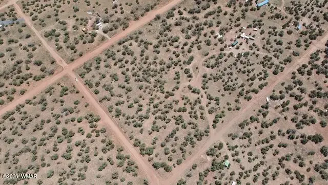 4289 Colt Road, Snowflake, AZ 85937 - #3