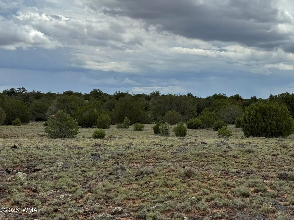 8 County Road 8080, Concho, AZ 85924 - #1